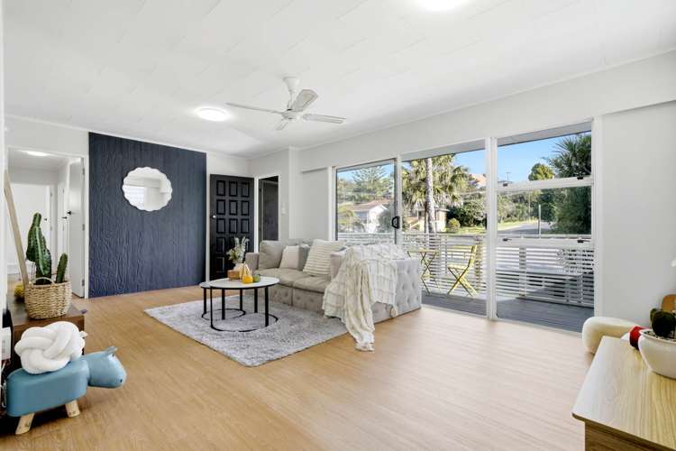 55 Peach Road_3