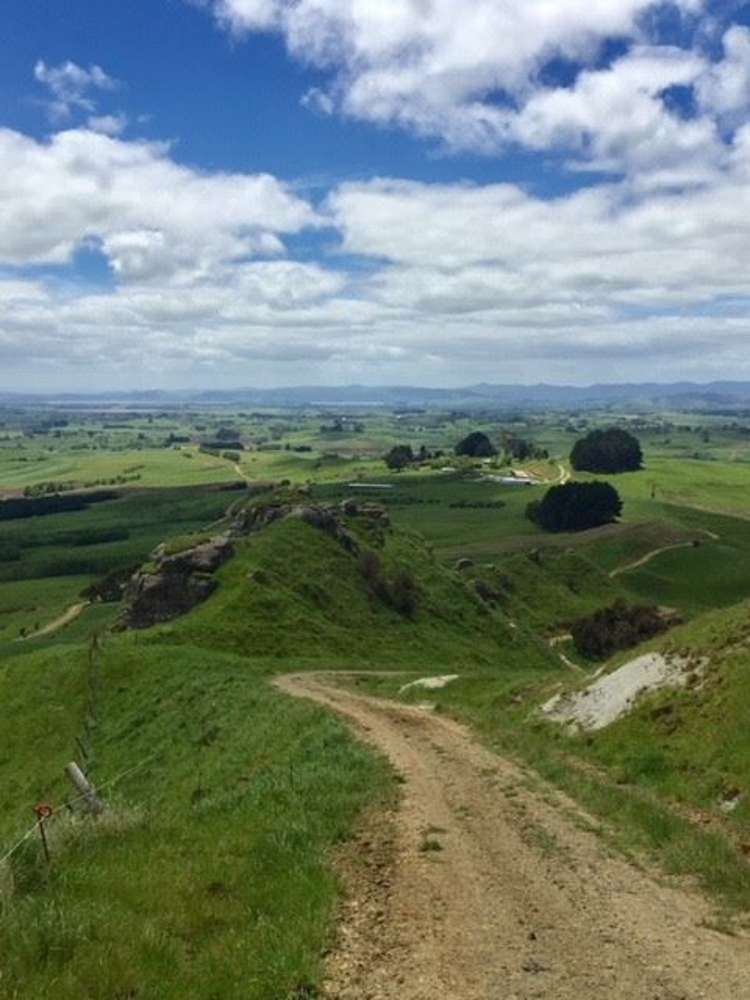 272 Broughton Road Ruawaro_26