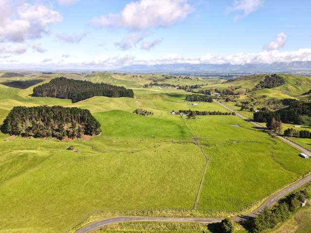 672 Weber Road Dannevirke_3