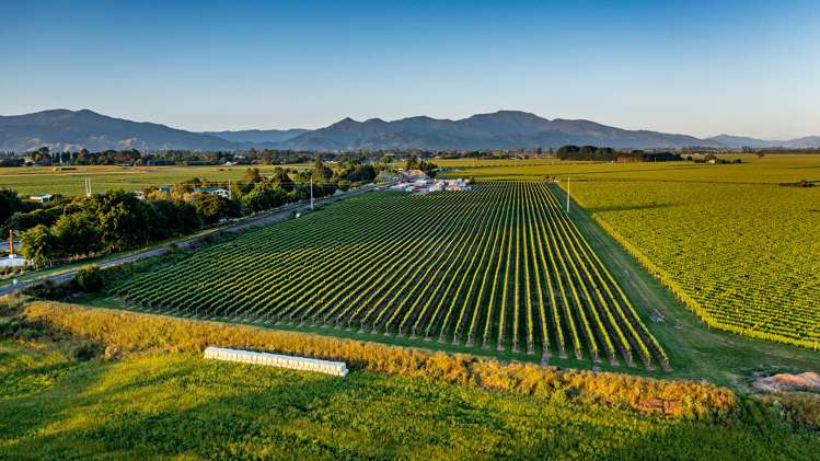 14 Lower Wairau Road Grovetown_5