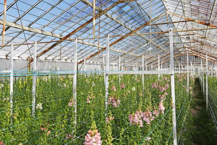 69 Drury Hills Road Drury_9