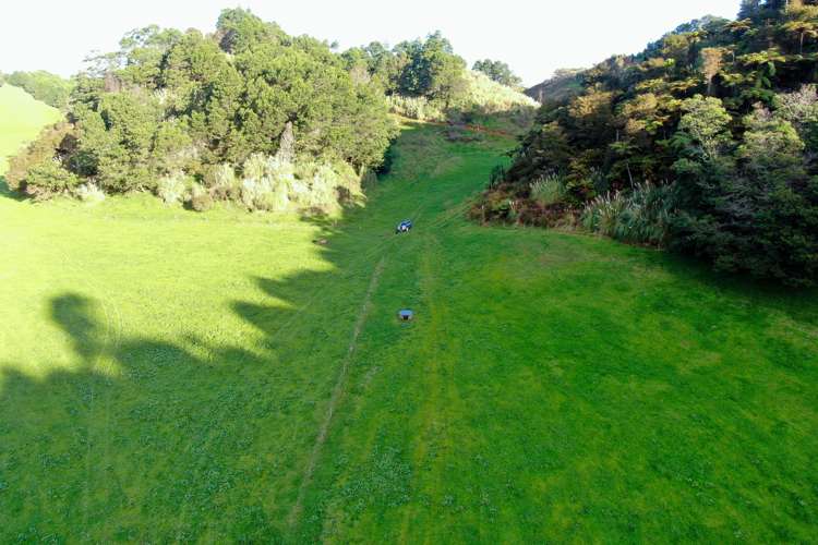 Maniatutu Road Pongakawa_29