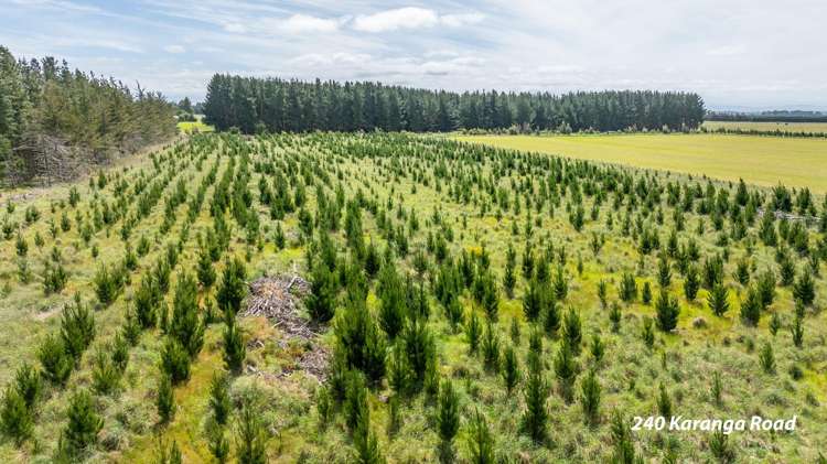 238 - 240 Karanga Road Dunsandel_11