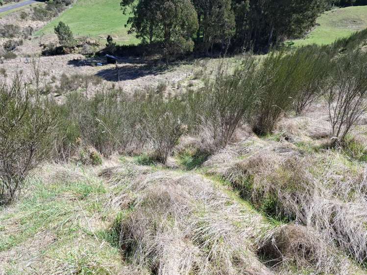 27 Otake Road Marotiri_34