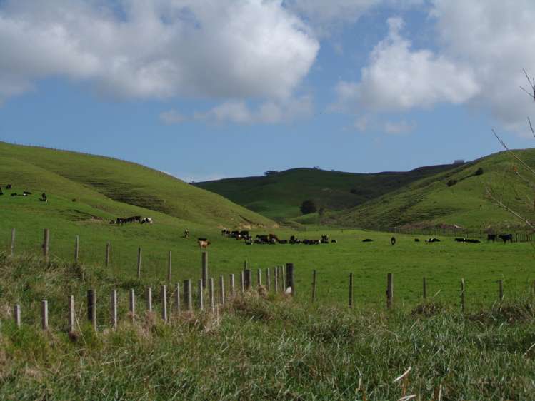 259 Arapohue Road Dargaville Surrounds_20
