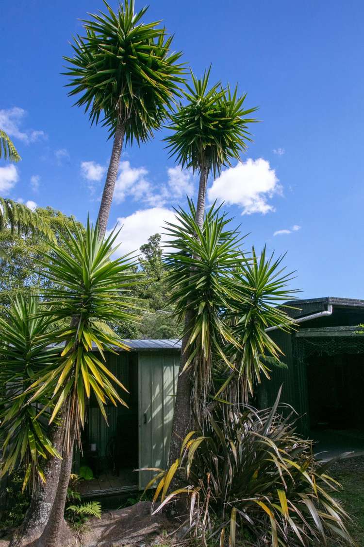 210A Goble Road Komata_24