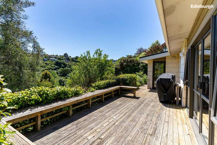 1 Leyden Terrace Andersons Bay_37