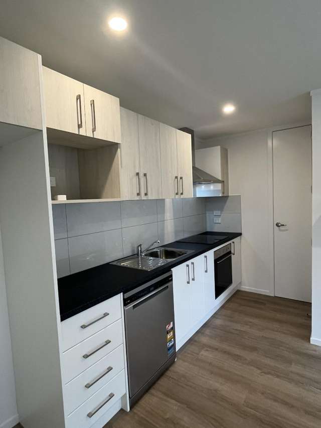 12B Denbigh Place Awapuni_2