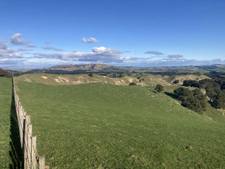 2829 Puketitiri Road Patoka_19