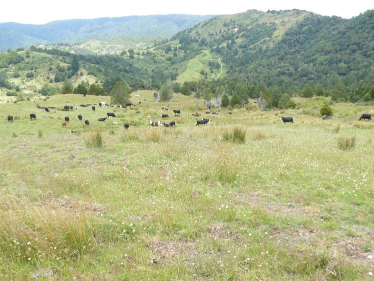 213 Matawherohia Road Kaeo_17