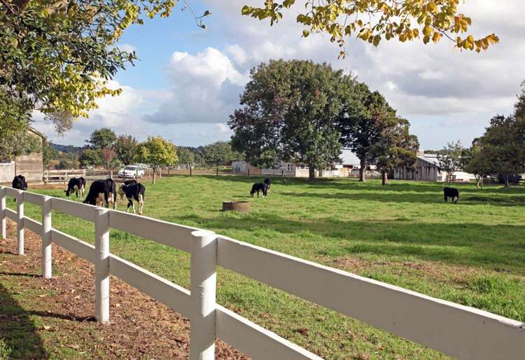 757 Glenbrook Road Kingseat_1