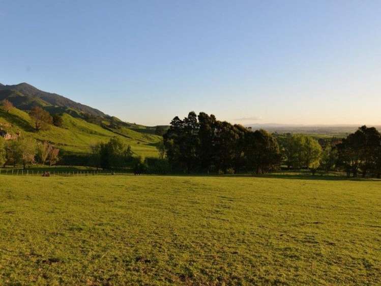 153 Hill Road Te Aroha_16