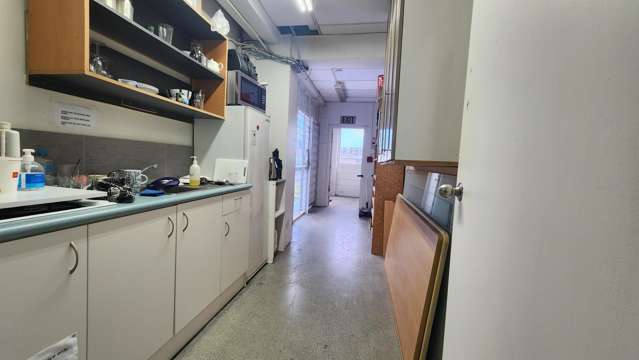 111 Newton Road Eden Terrace_3