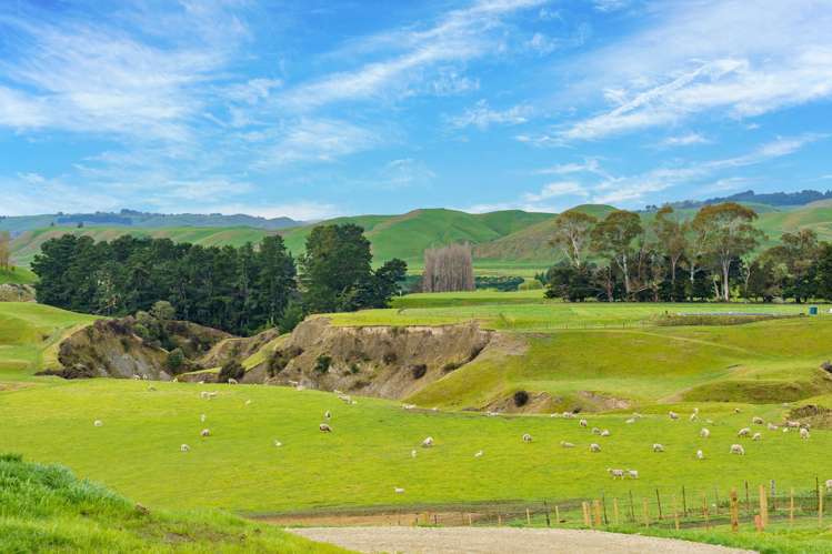 233 Salisbury Road Maraekakaho_11