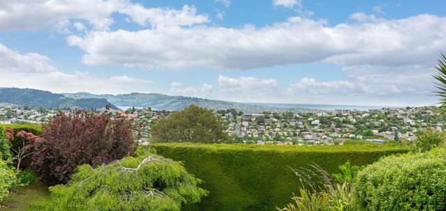 4 Mount Street Wakari_2