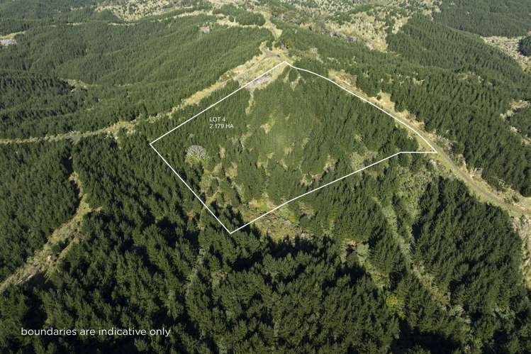 Lot 3 and 4/169 Tunatahi Road_2