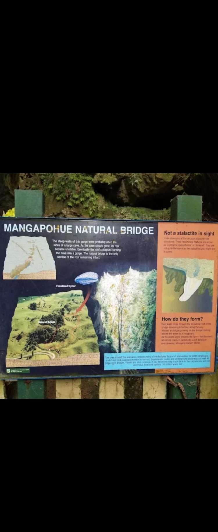 5 Marokopa Road Te Anga_9