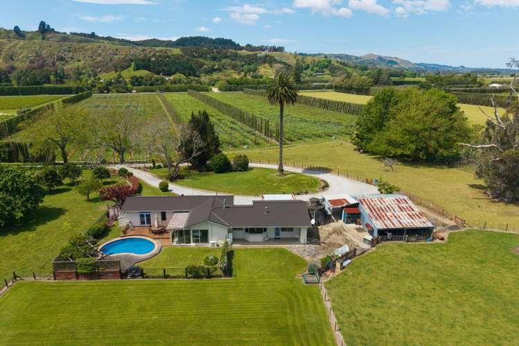 33 Caesar Road Ormond_23