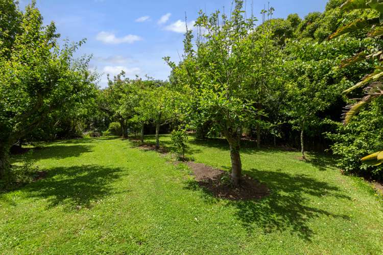 1688 South Head Road South Head_20