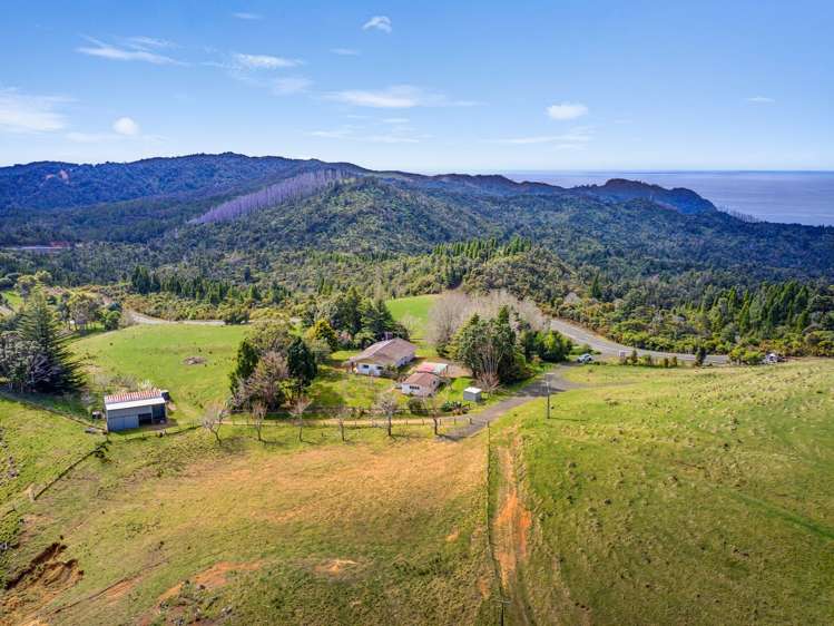 269 Sh25 - Tairua-Whitianga Hwy Whenuakite_32