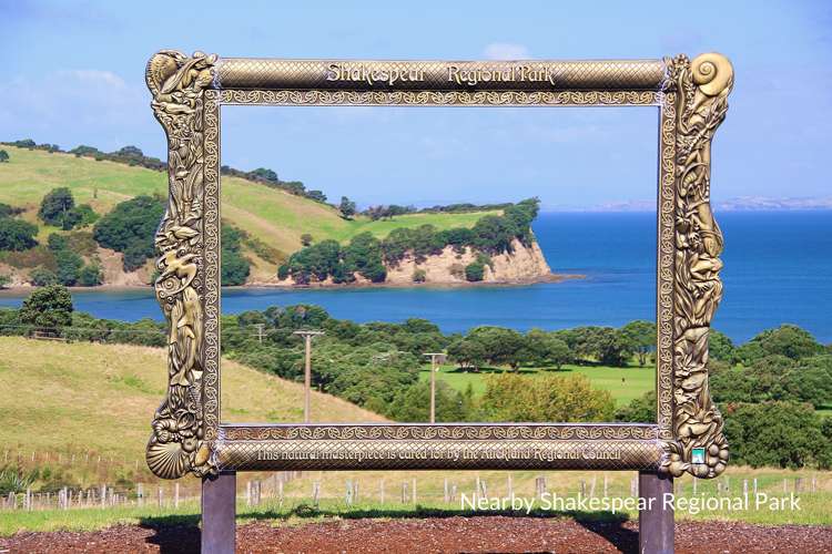 33 Bella Vista Drive Gulf Harbour_6