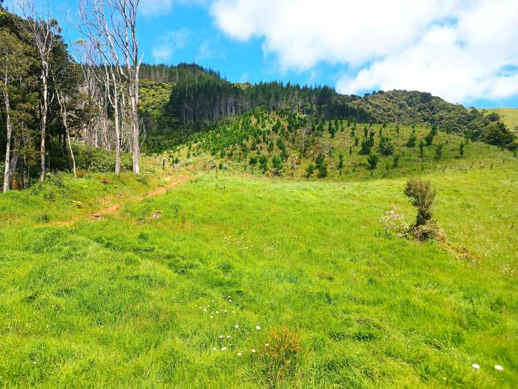 Lot 0 Te Rore Road Kaitaia_19