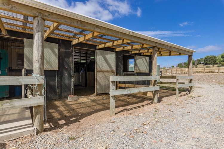 128 Montrose Road Kerikeri_15