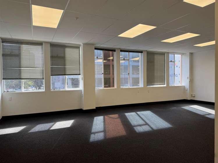 Level 1, 85 Ghuznee Street Te Aro_6