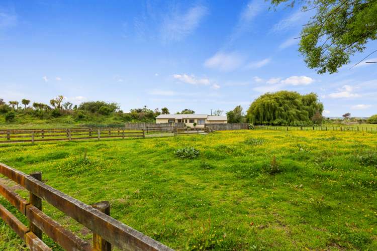 2 Hydro Road Edgecumbe_6