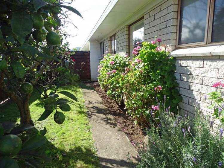 52b Puke Road Paeroa_10