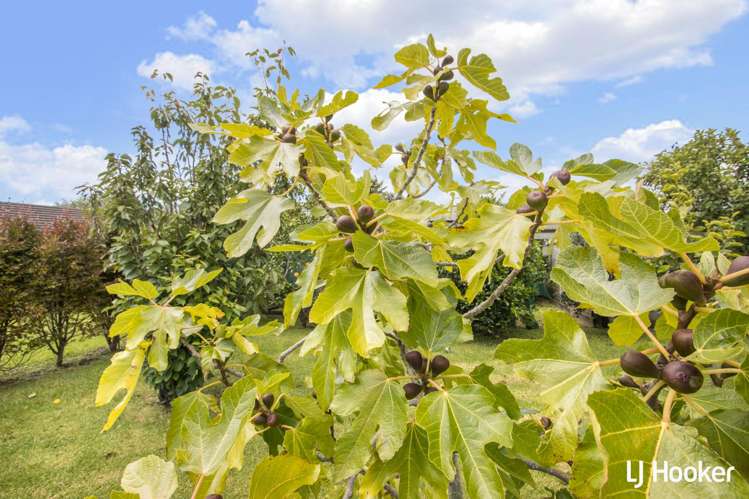 129 Koutunui Road Athenree_34