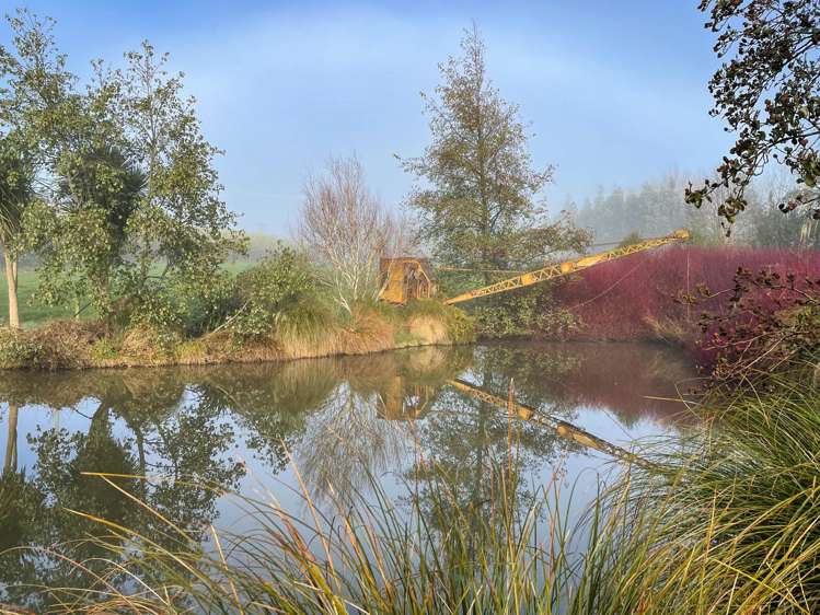 318 Waipango Ermedale Road Gummies Bush_21