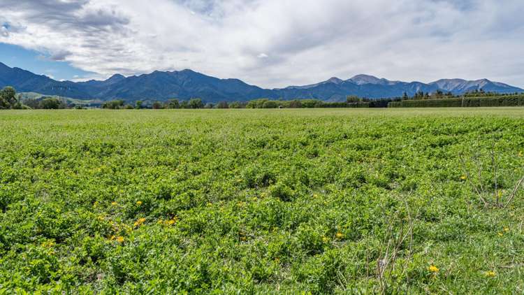 10 Chatterton Road Hanmer Springs_21