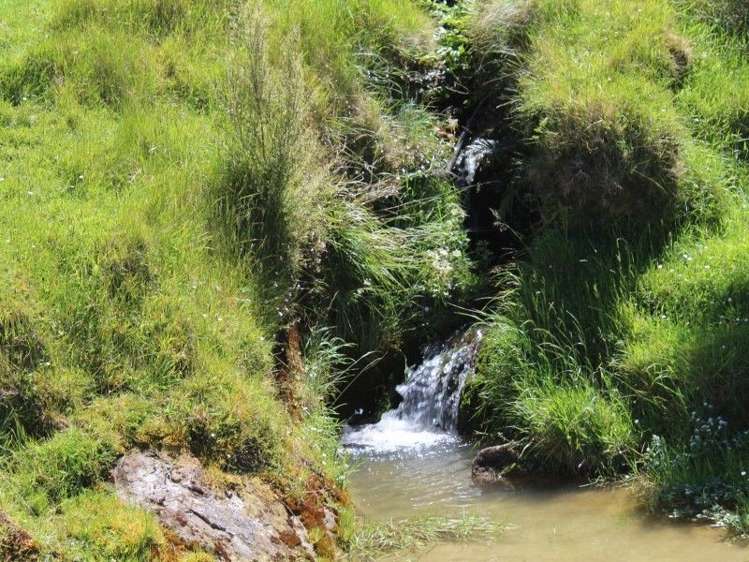 858 Oporae Road Weber_12