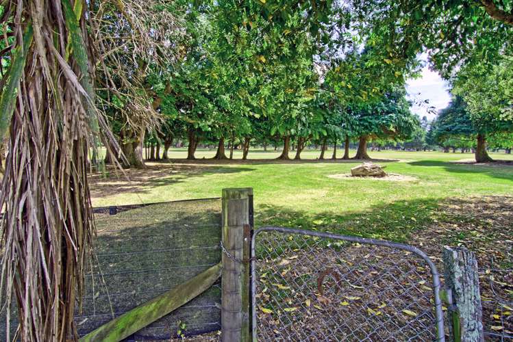 16 Bridge Street Eketahuna_20