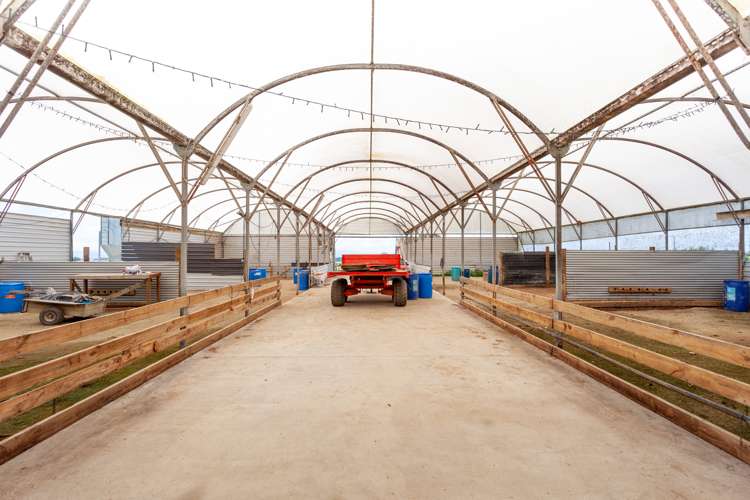 224 Herbert Road Morrinsville_14