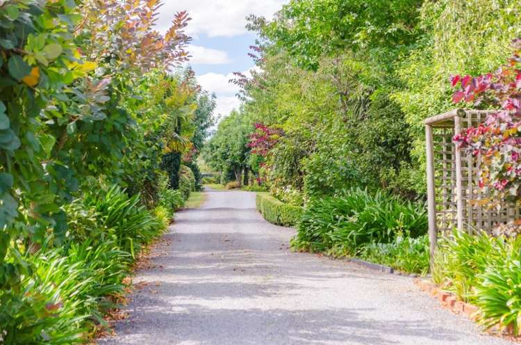 10 Oates Place Greytown_1