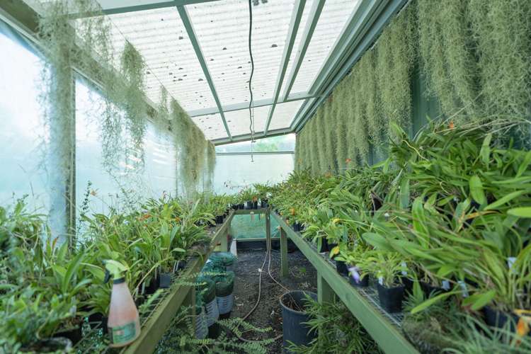 50B Paul Road Whenuakite_40