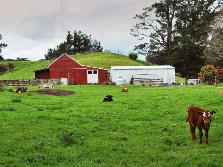 428 West Road Mauriceville_19