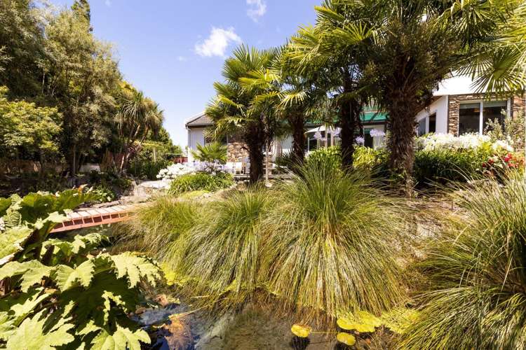 157b Middle Renwick Road Springlands_18