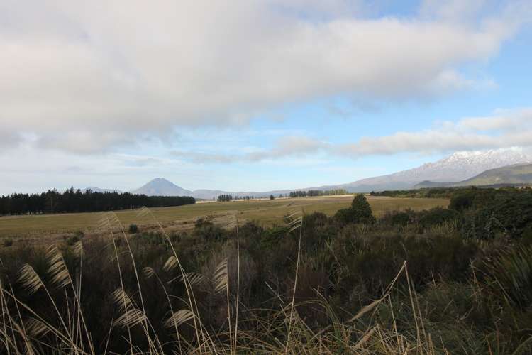 20 Waimarino Tokaanu Road National Park_9