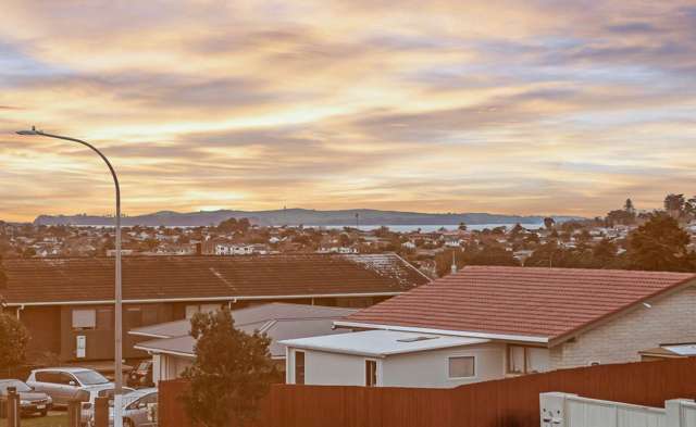 65 Highland Park Drive Botany Downs_3