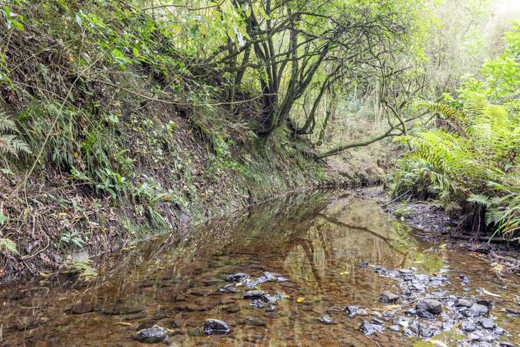 137 Kiritaki Road Dannevirke_6