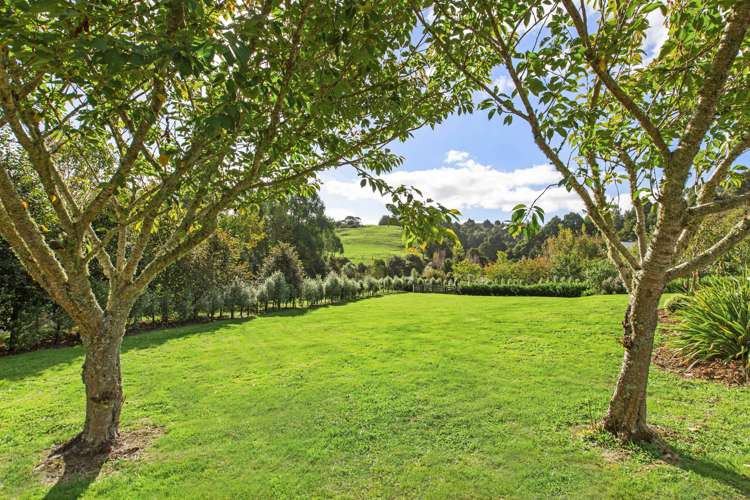 1068a Old Mountain Road Raglan_28