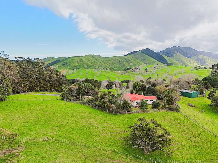 Lot Lot 1/3688 State Highway 14 Tangiteroria_16