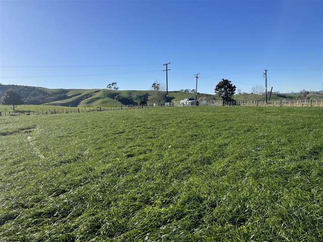 644A Bayley Road Te Awamutu_4