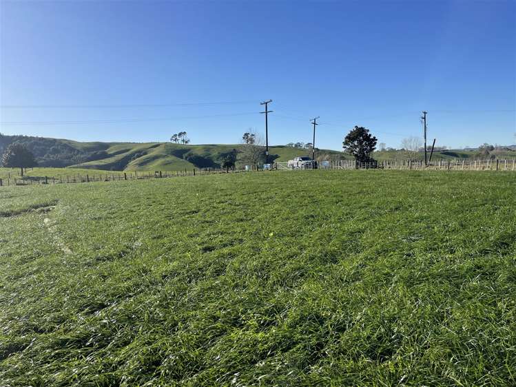 644A Bayley Road Te Awamutu_6