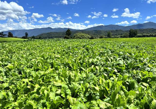 989 State Highway 69 Reefton_2