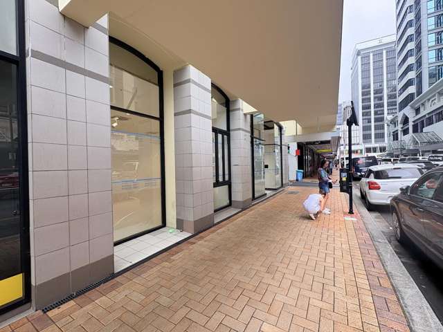 Ground/154 Featherston Street Wellington Central_2