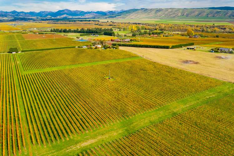96 Shandon Road Waihopai Valley_6